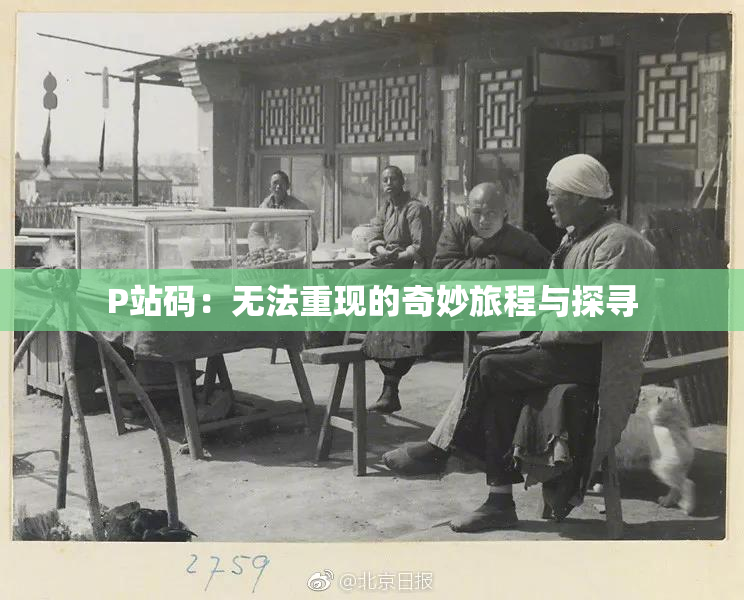 P站码：无法重现的奇妙旅程与探寻