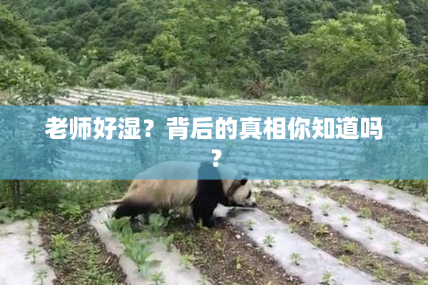 老师好湿？背后的真相你知道吗？