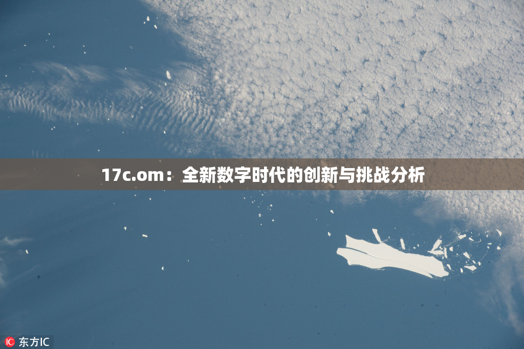 17c.om：全新数字时代的创新与挑战分析