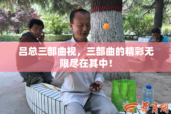 吕总三部曲视，三部曲的精彩无限尽在其中！