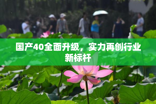 国产40全面升级，实力再创行业新标杆