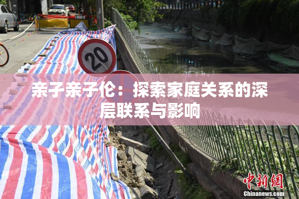 亲孑亲子伦：探索家庭关系的深层联系与影响