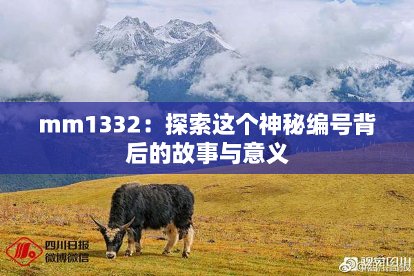 mm1332：探索这个神秘编号背后的故事与意义