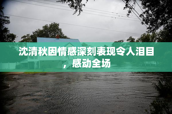 沈清秋因情感深刻表现令人泪目，感动全场