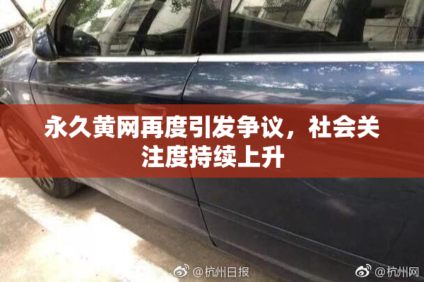 永久黄网再度引发争议，社会关注度持续上升