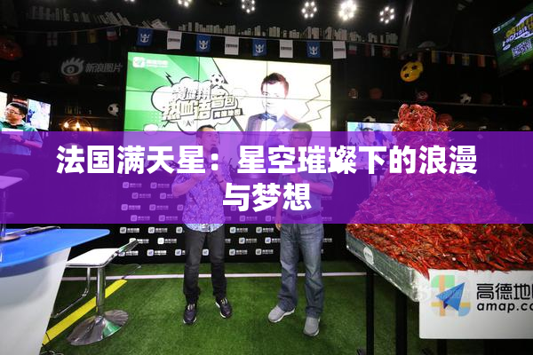 法国满天星：星空璀璨下的浪漫与梦想