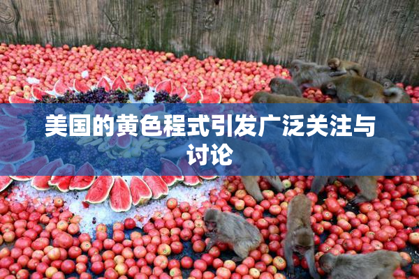 美国的黄色程式引发广泛关注与讨论