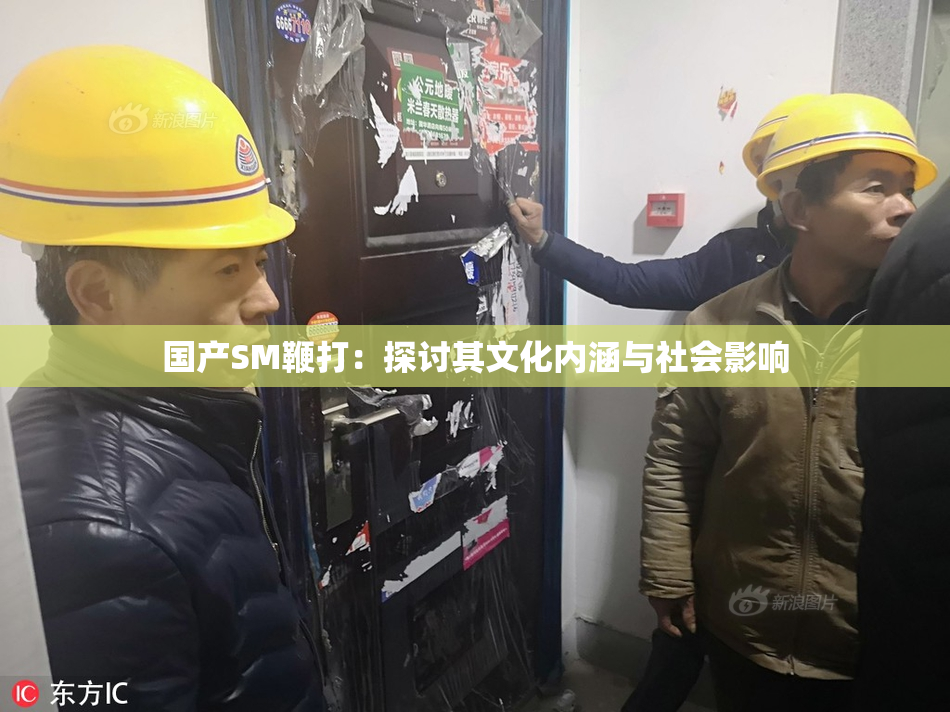 国产SM鞭打：探讨其文化内涵与社会影响