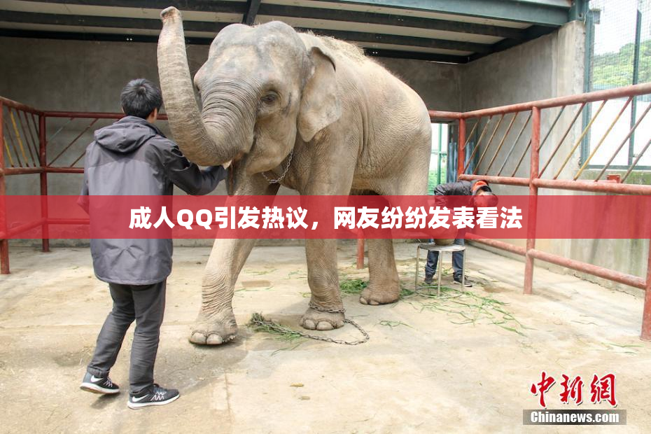 成人QQ引发热议，网友纷纷发表看法