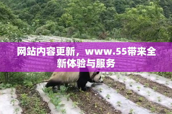 网站内容更新，www.55带来全新体验与服务