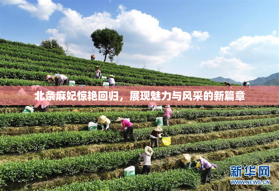 北条麻妃惊艳回归，展现魅力与风采的新篇章