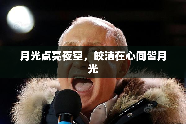 月光点亮夜空，皎洁在心间皆月光