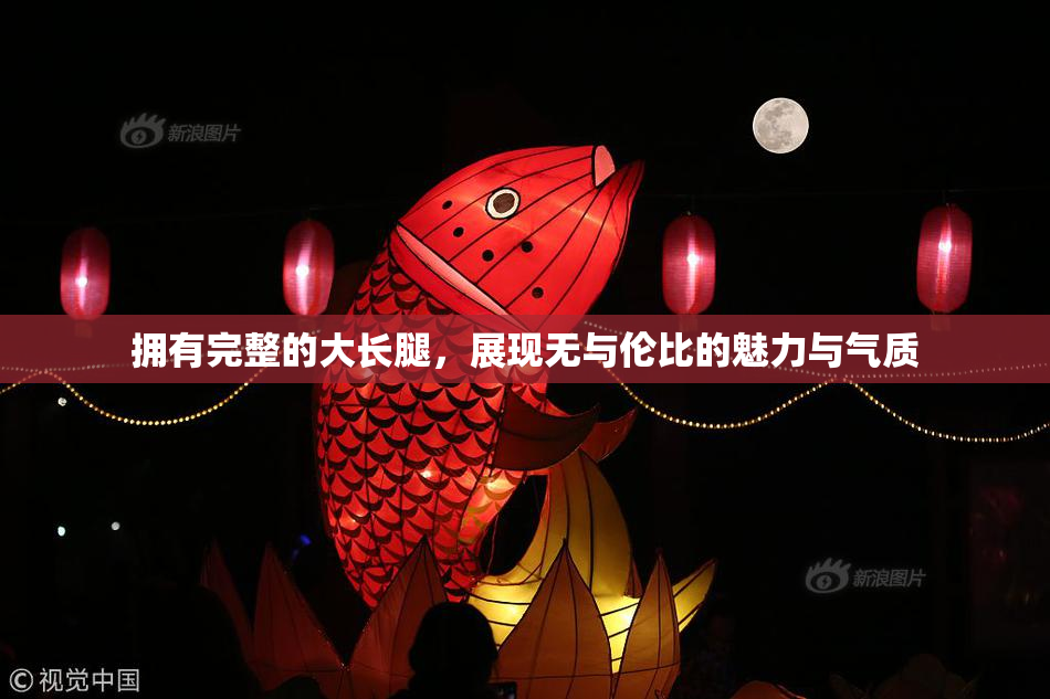 拥有完整的大长腿，展现无与伦比的魅力与气质