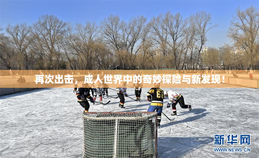 再次出击，成人世界中的奇妙探险与新发现！
