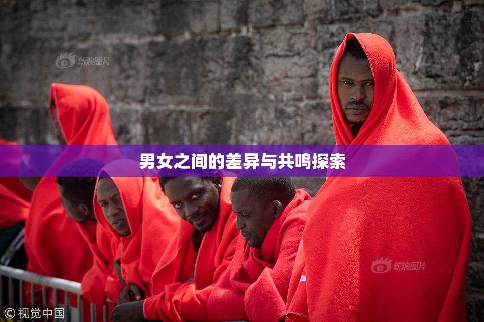 男女之间的差异与共鸣探索