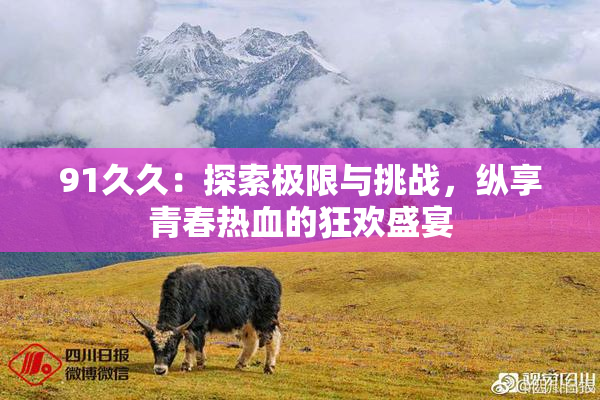 91久久：探索极限与挑战，纵享青春热血的狂欢盛宴