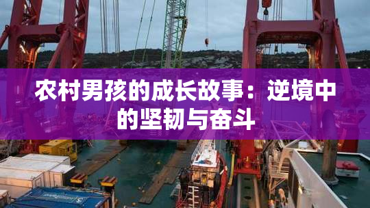 农村男孩的成长故事：逆境中的坚韧与奋斗