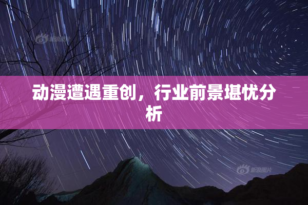动漫遭遇重创，行业前景堪忧分析