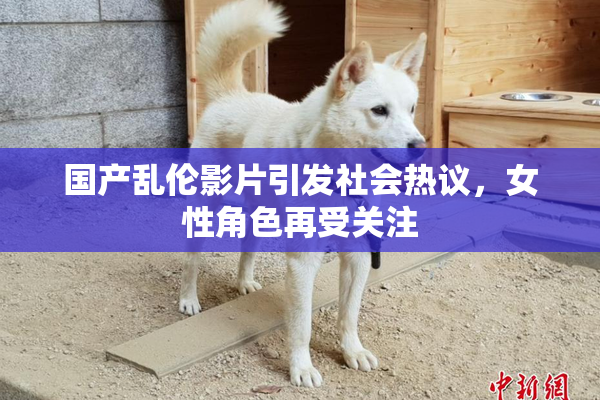 国产乱伦影片引发社会热议，女性角色再受关注