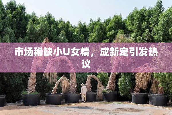 市场稀缺小U女精，成新宠引发热议