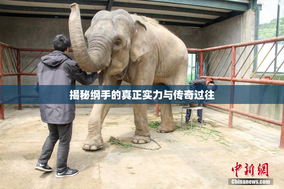 揭秘纲手的真正实力与传奇过往