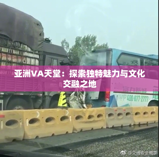 亚洲VA天堂：探索独特魅力与文化交融之地