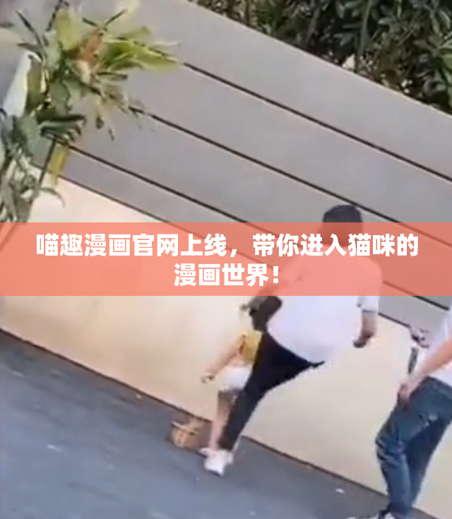 喵趣漫画官网上线，带你进入猫咪的漫画世界！