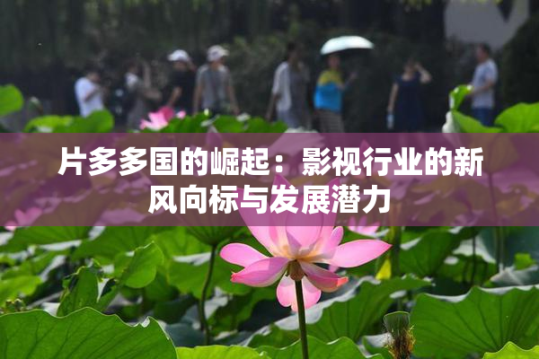 片多多国的崛起：影视行业的新风向标与发展潜力