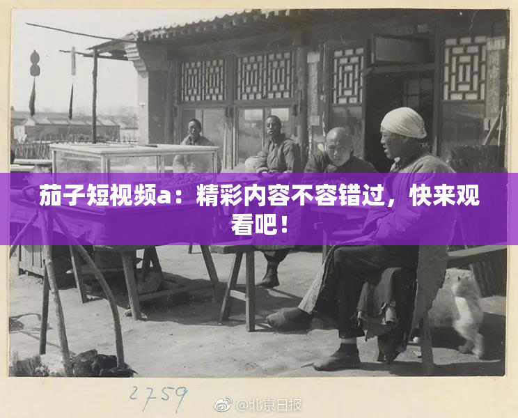 茄子短视频a：精彩内容不容错过，快来观看吧！