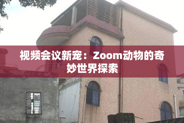 视频会议新宠：Zoom动物的奇妙世界探索