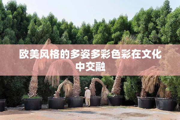 欧美风格的多姿多彩色彩在文化中交融