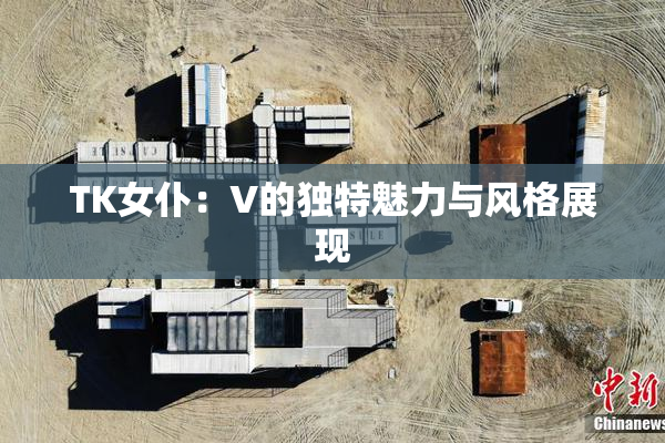 TK女仆：V的独特魅力与风格展现
