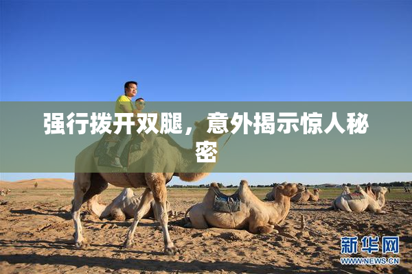 强行拨开双腿，意外揭示惊人秘密