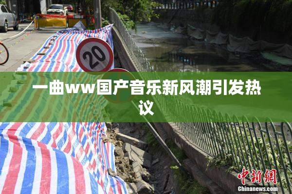 一曲ww国产音乐新风潮引发热议