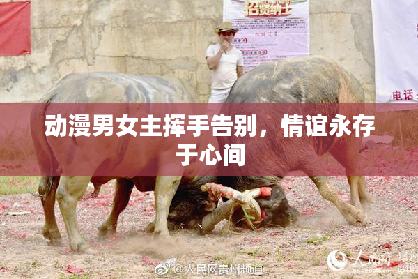 动漫男女主挥手告别，情谊永存于心间