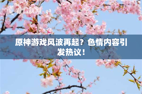 原神游戏风波再起？色情内容引发热议！