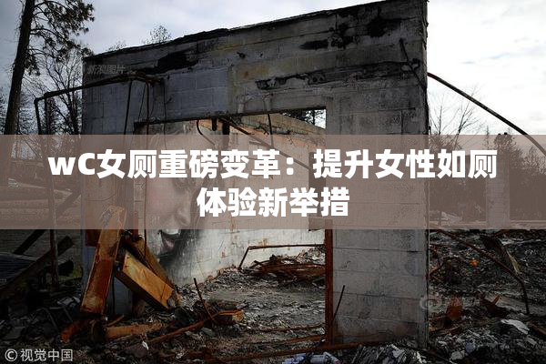 wC女厕重磅变革：提升女性如厕体验新举措