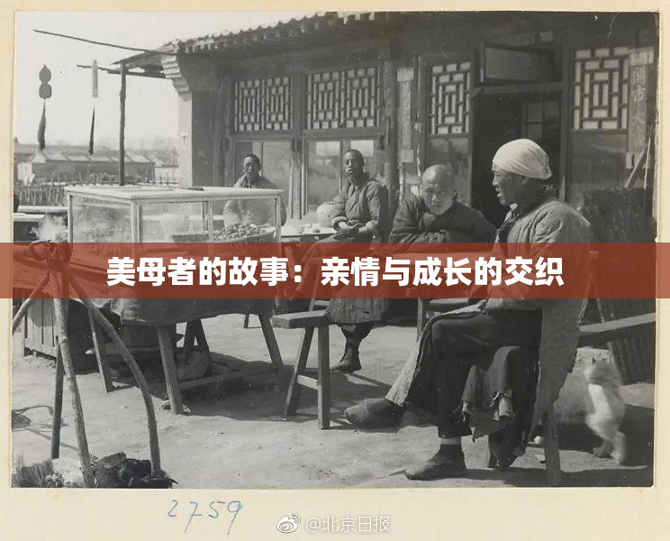 美母者的故事：亲情与成长的交织