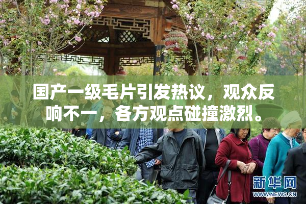 国产一级毛片引发热议，观众反响不一，各方观点碰撞激烈。