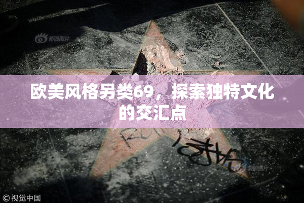 欧美风格另类69，探索独特文化的交汇点