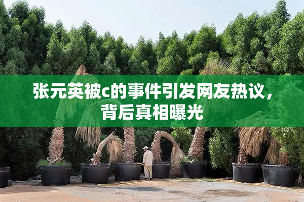 张元英被c的事件引发网友热议，背后真相曝光
