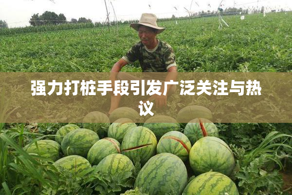 强力打桩手段引发广泛关注与热议