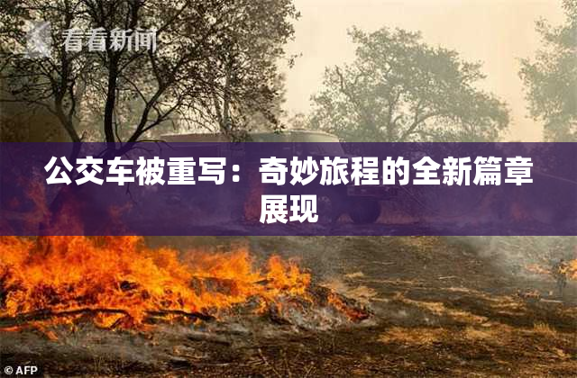 公交车被重写：奇妙旅程的全新篇章展现