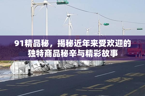 91精品秘，揭秘近年来受欢迎的独特商品秘辛与精彩故事