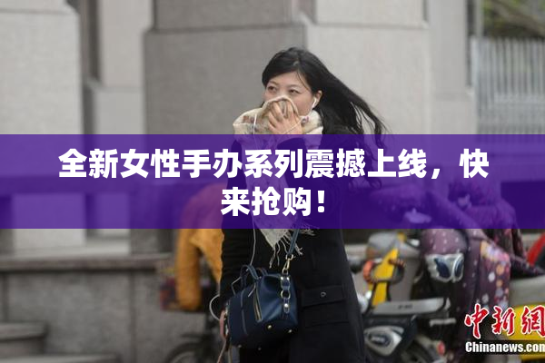 全新女性手办系列震撼上线，快来抢购！