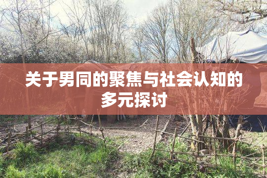 关于男同的聚焦与社会认知的多元探讨
