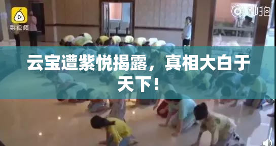 云宝遭紫悦揭露，真相大白于天下！
