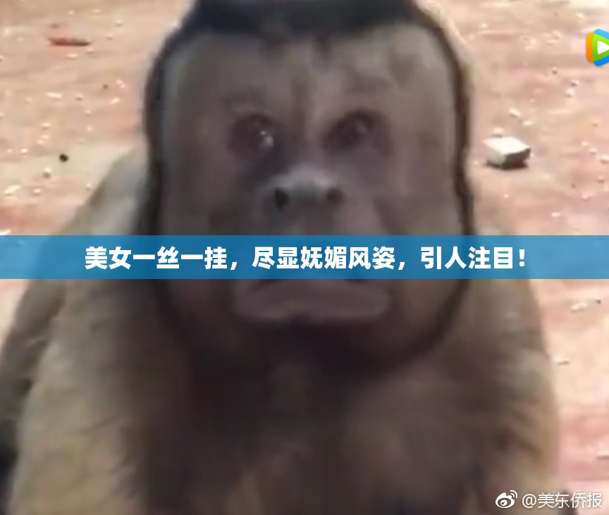 美女一丝一挂，尽显妩媚风姿，引人注目！