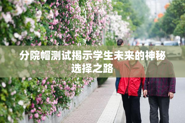 分院帽测试揭示学生未来的神秘选择之路
