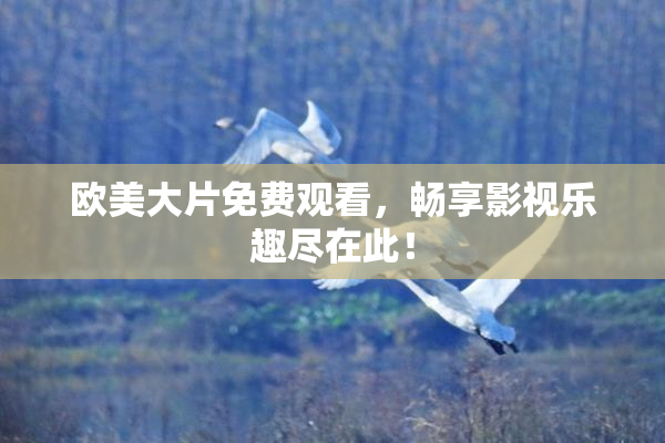 欧美大片免费观看，畅享影视乐趣尽在此！